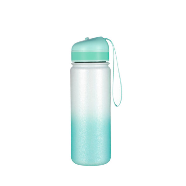 High Quality Stainless Steel Drink Bottle 02554A