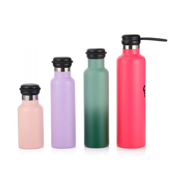 stainless steel water bottle with handle
