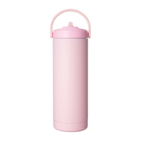 stainless steel water bottle with straw