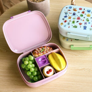 https://www.everichhydro.com/wp-content/uploads/2023/09/plastic-lunch-box-with-handle-1-300x300.jpg