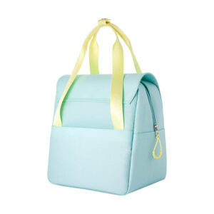 insulated soft cooler tote bag